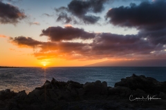 Instagram-_DSC9431-Edit Instagram-_DSC9431-Edit