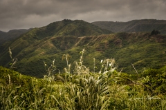 Instagram-_DSC9877 Instagram-_DSC9877
