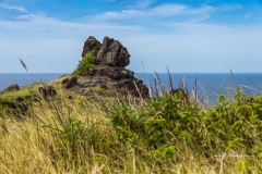Instagram-_DSC9889 Instagram-_DSC9889