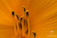 _DSC3512
