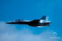 McCAE_2010_0025