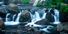 _DSC1212 _DSC1212