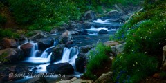 _DSC1223 _DSC1223