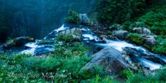 _DSC1228 _DSC1228