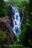 _DSC1291-Edit _DSC1291-Edit
