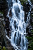 _DSC1293 _DSC1293