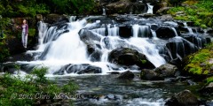 _DSC1387 _DSC1387