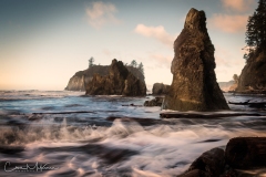 Instagram - _DSC7905-Edit