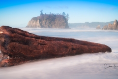 Instagram - _DSC7992-Edit