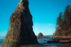 Instagram - _DSC8024