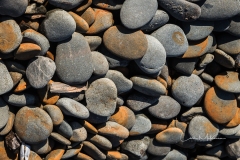 Instagram - _DSC8086