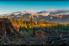 Instagram - _DSC8121