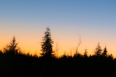 Instagram - _DSC8153