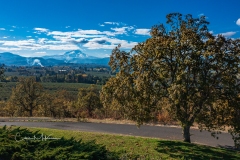 Instagram-DJI_0741 Instagram-DJI_0741