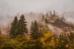 Instagram-_DSC0147 Instagram-_DSC0147