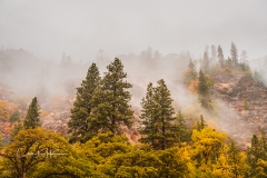 Instagram-_DSC0148 Instagram-_DSC0148