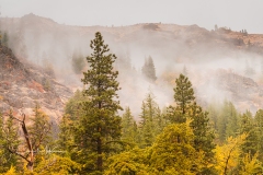 Instagram-_DSC0150 Instagram-_DSC0150