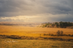Instagram-_DSC0167 Instagram-_DSC0167