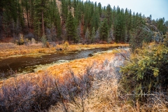 Instagram-_DSC0301 Instagram-_DSC0301