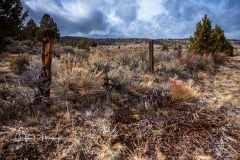 Instagram-_DSC0311 Instagram-_DSC0311
