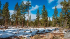 Instagram-_DSC0393 Instagram-_DSC0393