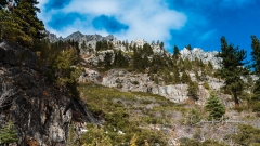Instagram-_DSC0433 Instagram-_DSC0433