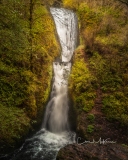 Instagram-_DSC0943 Instagram-_DSC0943
