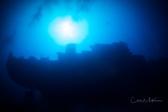 SNY00388-Edit